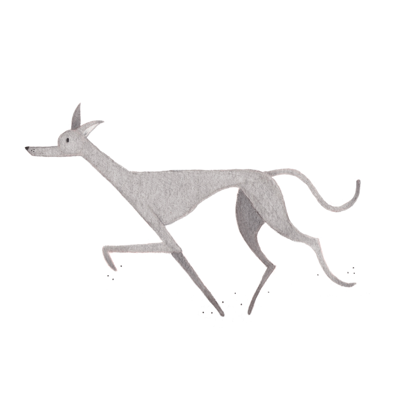 Illustration of Caya, the dog of Meg Chikhani